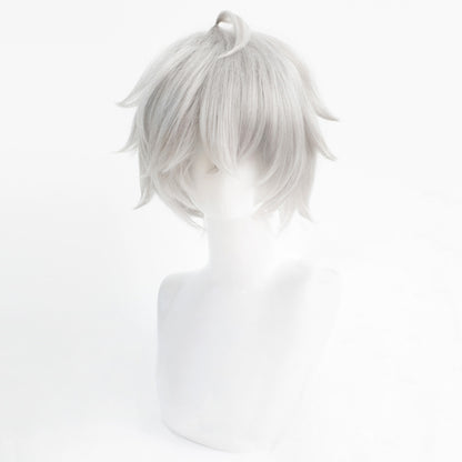 Zenless Zone Zero Random Play Play Wise Silver Cosplay Wig