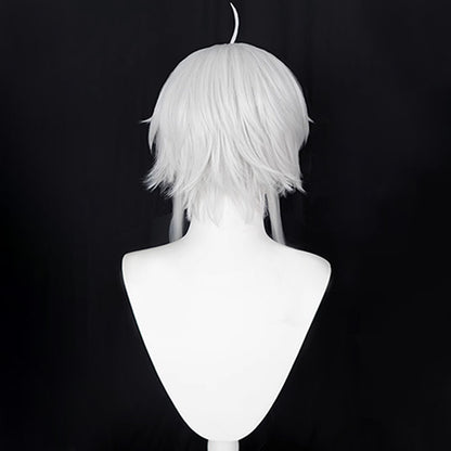 Mushoku Tensei: Isekai Ittara Honki Dasu Sylphiette Silver Cosplay Wig