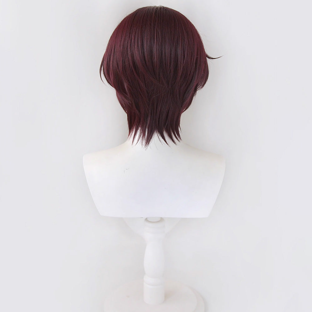 Wind Breaker Hayato Suou Purple Cosplay Wig