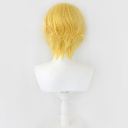 One Piece Sabo Golden Cosplay Wig