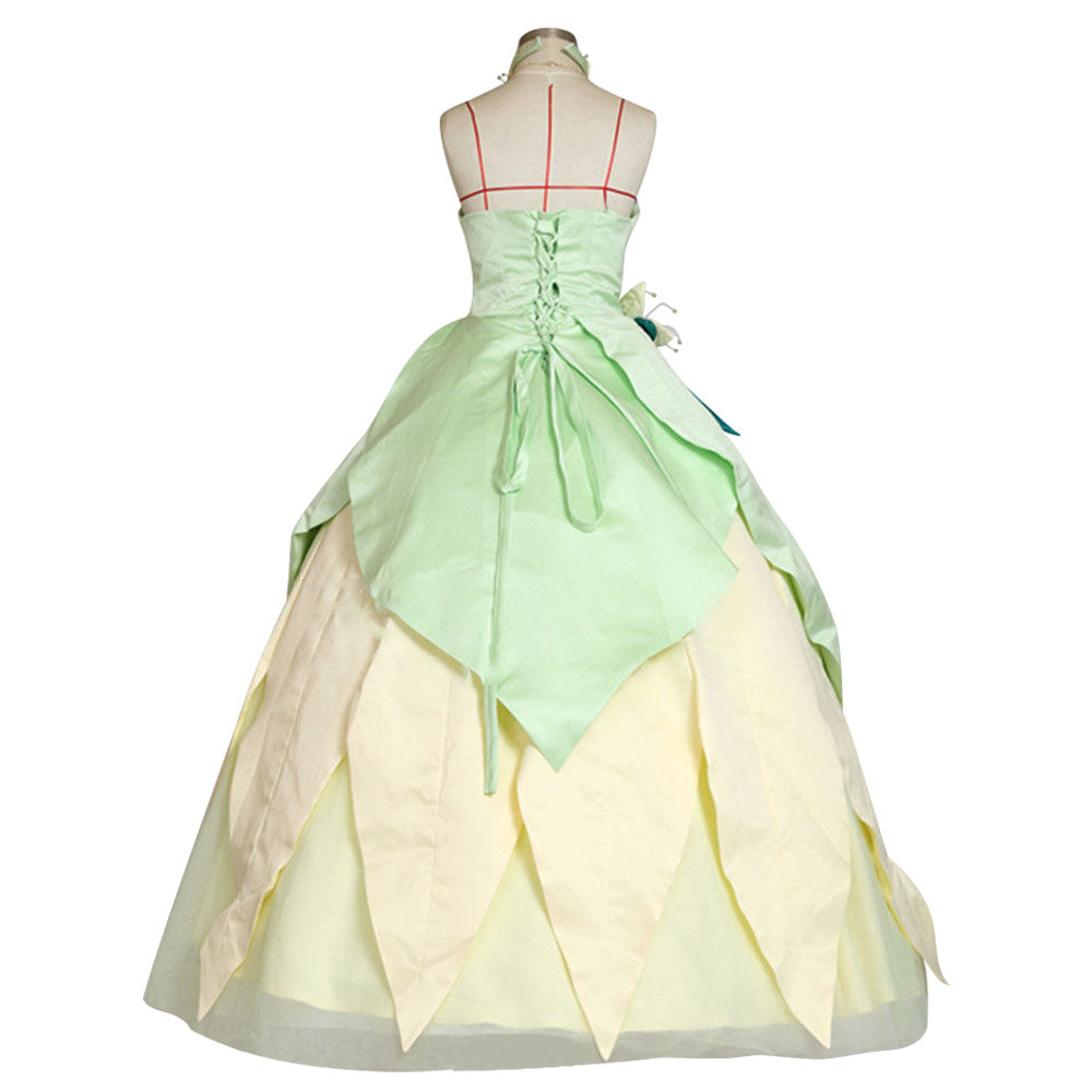 Robe princesse grenouille sale